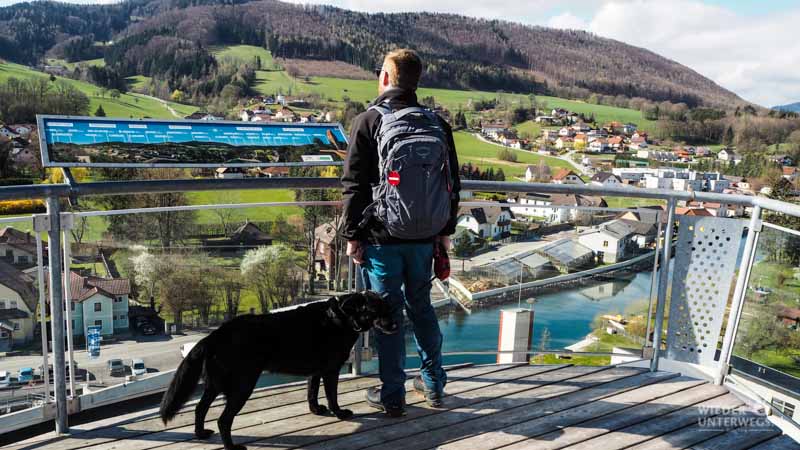 Naturidyll Pielachtal Steinschalerhof Web (105 Von 323)