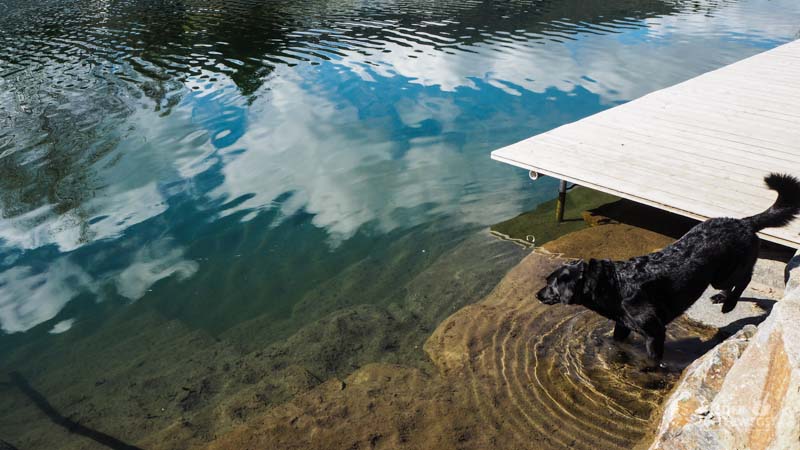 Naturidyll Pielachtal Steinschalerhof Web (110 Von 323)