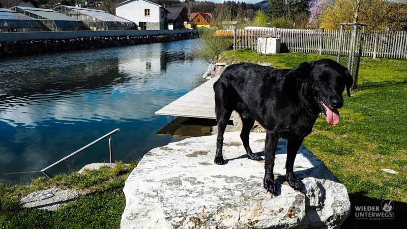 Naturidyll Pielachtal Steinschalerhof Web (113 Von 323)