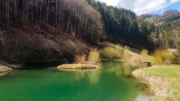 Naturidyll Pielachtal Steinschalerhof Web (128 Von 323)