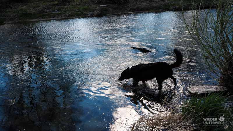 Naturidyll Pielachtal Steinschalerhof Web (222 Von 323)