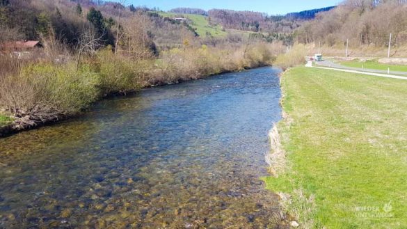 Naturidyll Pielachtal Steinschalerhof Web (230 Von 323)