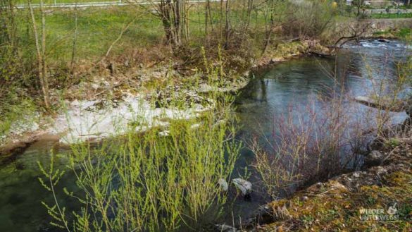 Naturidyll Pielachtal Steinschalerhof Web (296 Von 323)