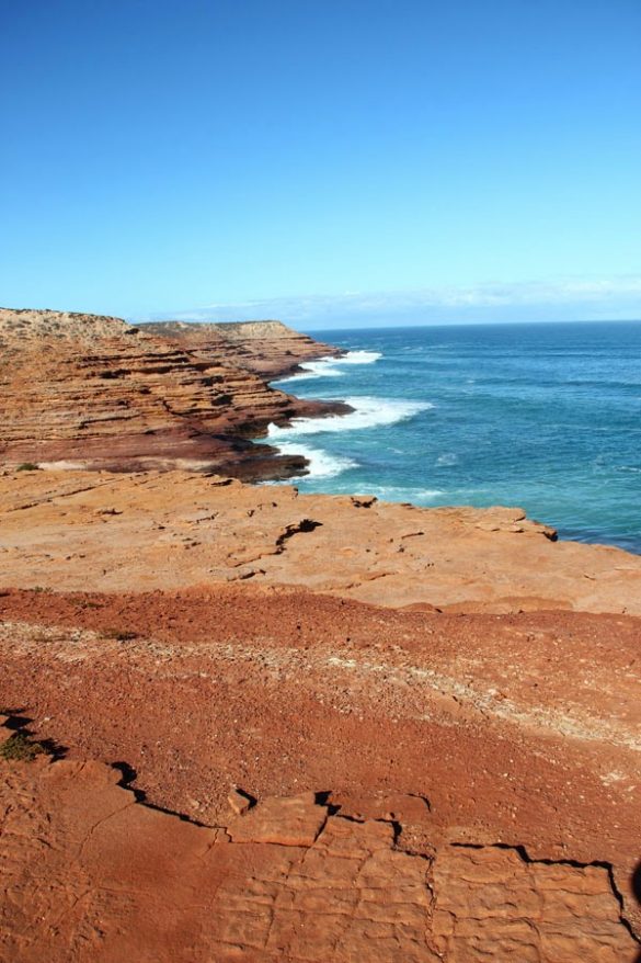 Kalbarri Coast Und Wildflower Park  (10)