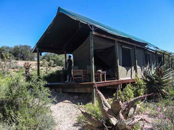 Glamping Südafrika (5 Von 21)