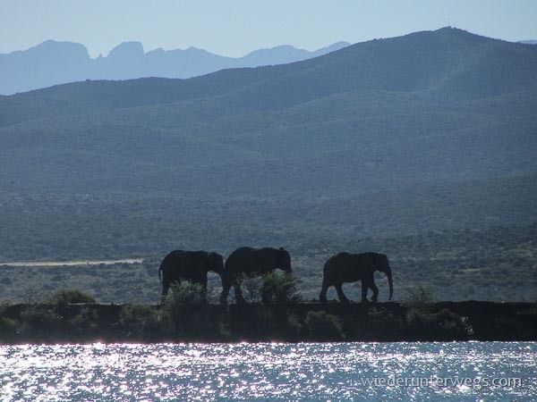 glamping südafrika (8 von 21)