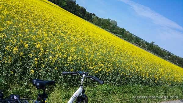 Neueröffnungen Wolkersdorf (20 von 20)