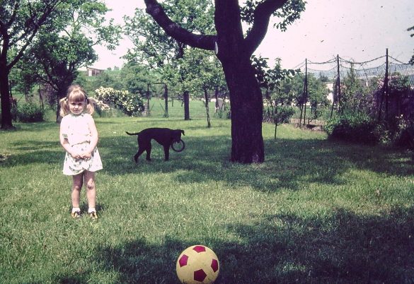 Wolkersdorf damals Kind mit Hund