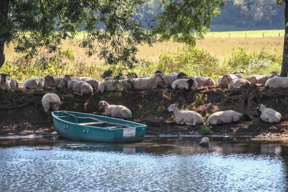 Mit Dem Hausboot Unterwegs   Bericht (36 Von 57)