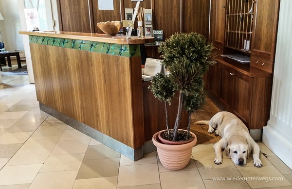 Haushund Max Hotel Herzoghof Baden bei WIen