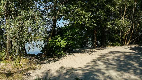 Donauinsel Hundebaden August 2015 (5 Von 11)