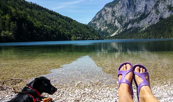 leopoldsteinersee baden mit hund tipps in österreich steiermark