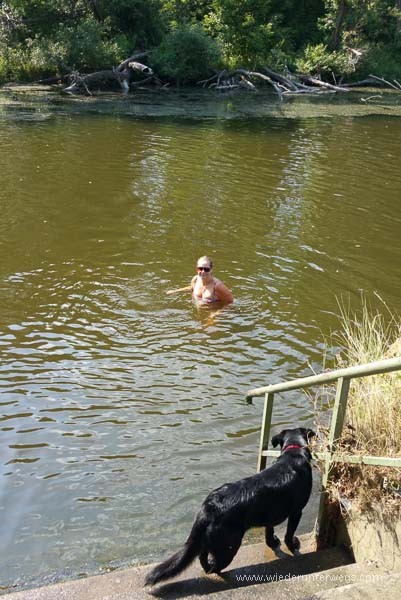 Baden mit Hund Flussbad Kamp