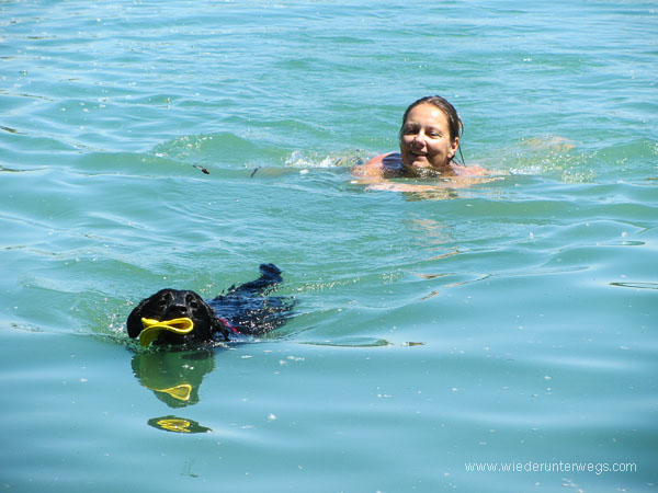 Badeteich Hirschstetten baden mit HUnd