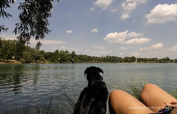 Baden am Teich Hirschstetten