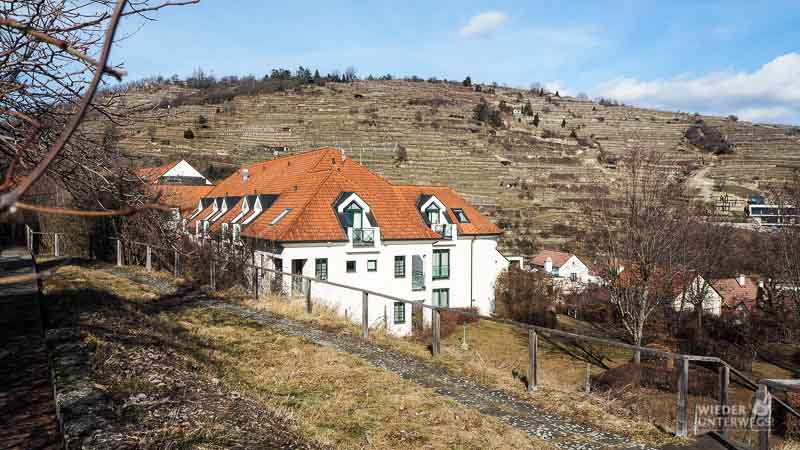 weinterrasse steigenberger krems