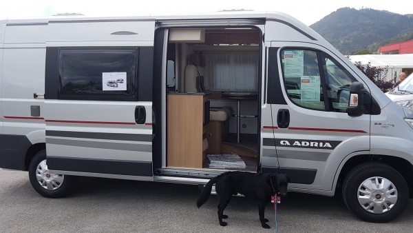 Camping mit Hund