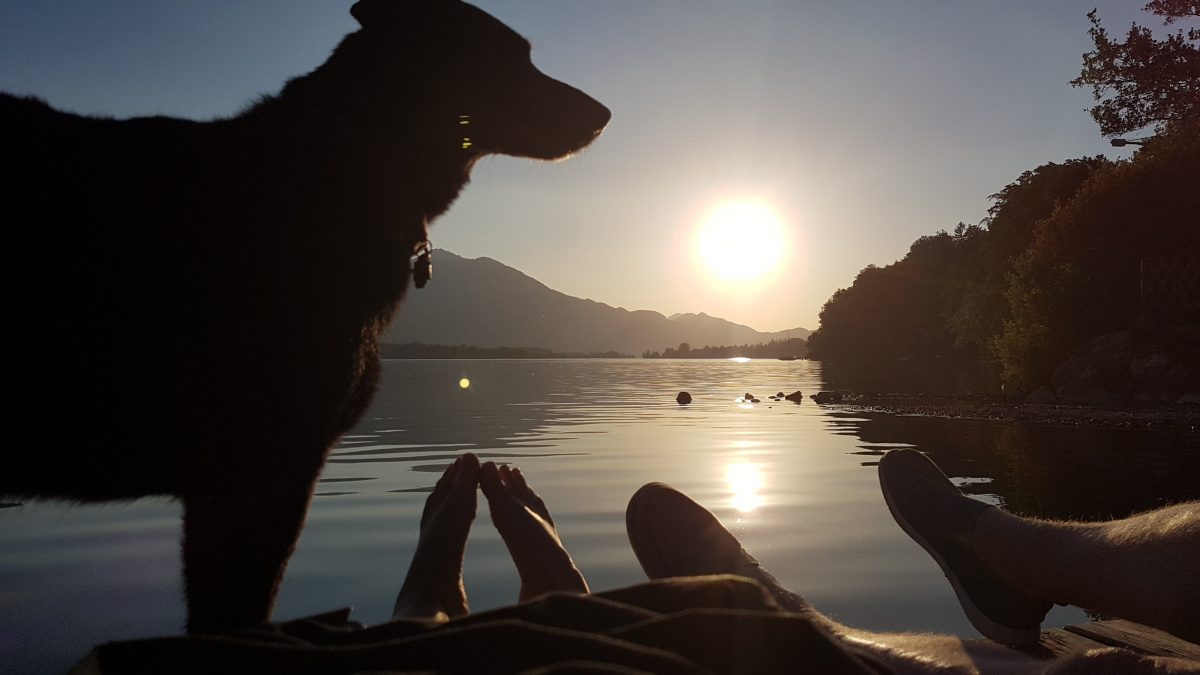 camping mit hund am wolfgangsee sunset