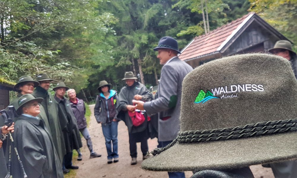 Waldness Waldbaden Hut Almtal