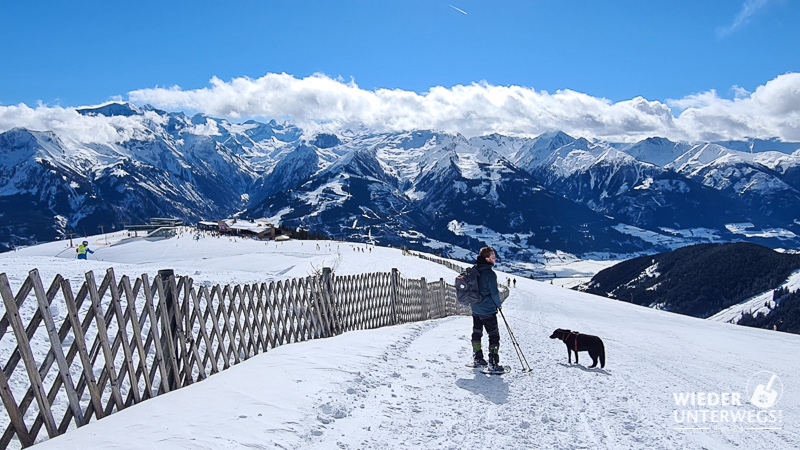 schmittenhöhe winter mit hund winterwander