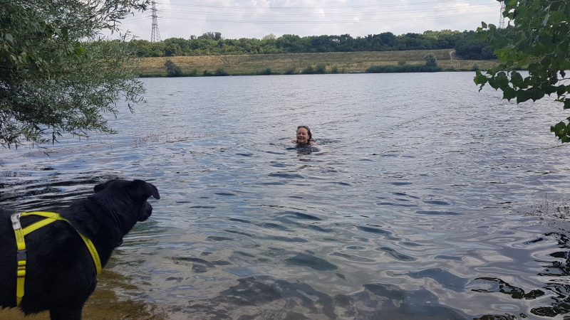 Mit Hund am Hundestrand Donauinsel