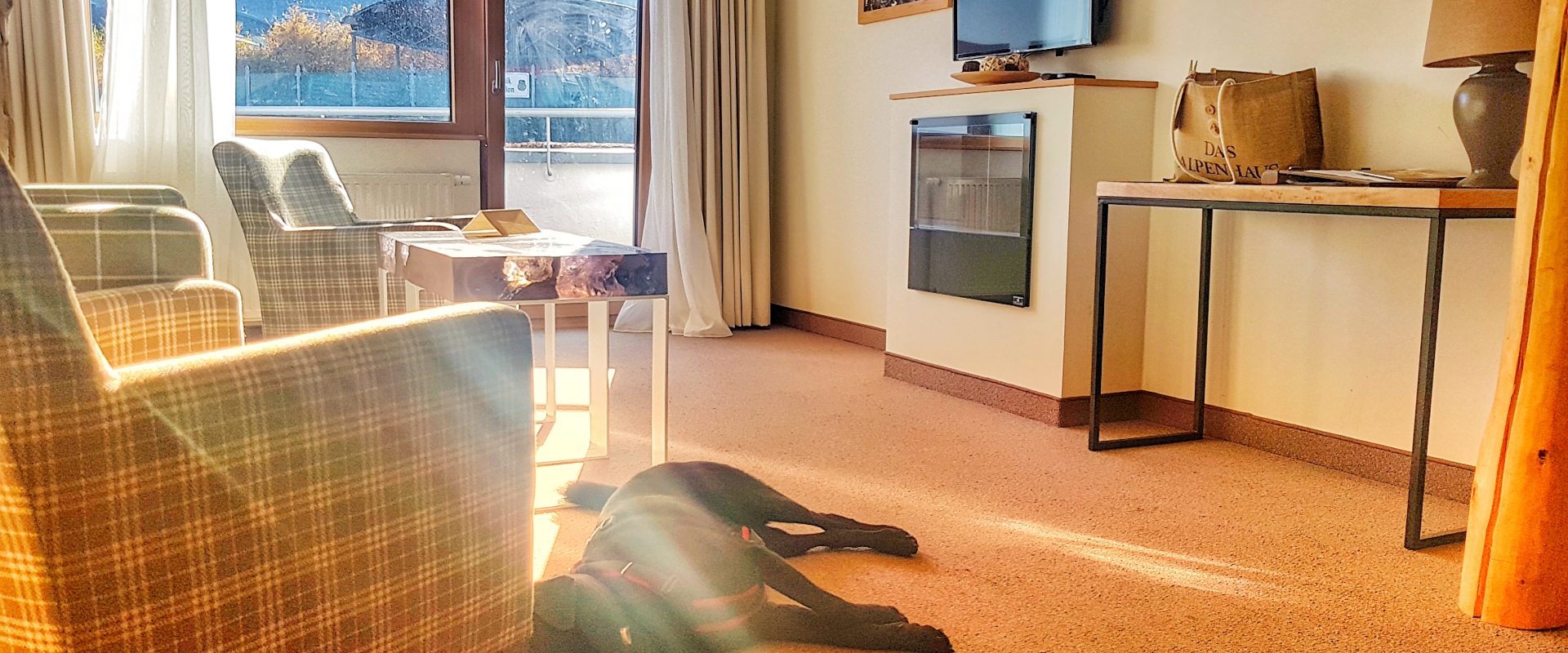 Hund im Hotelzimmer Kaprun