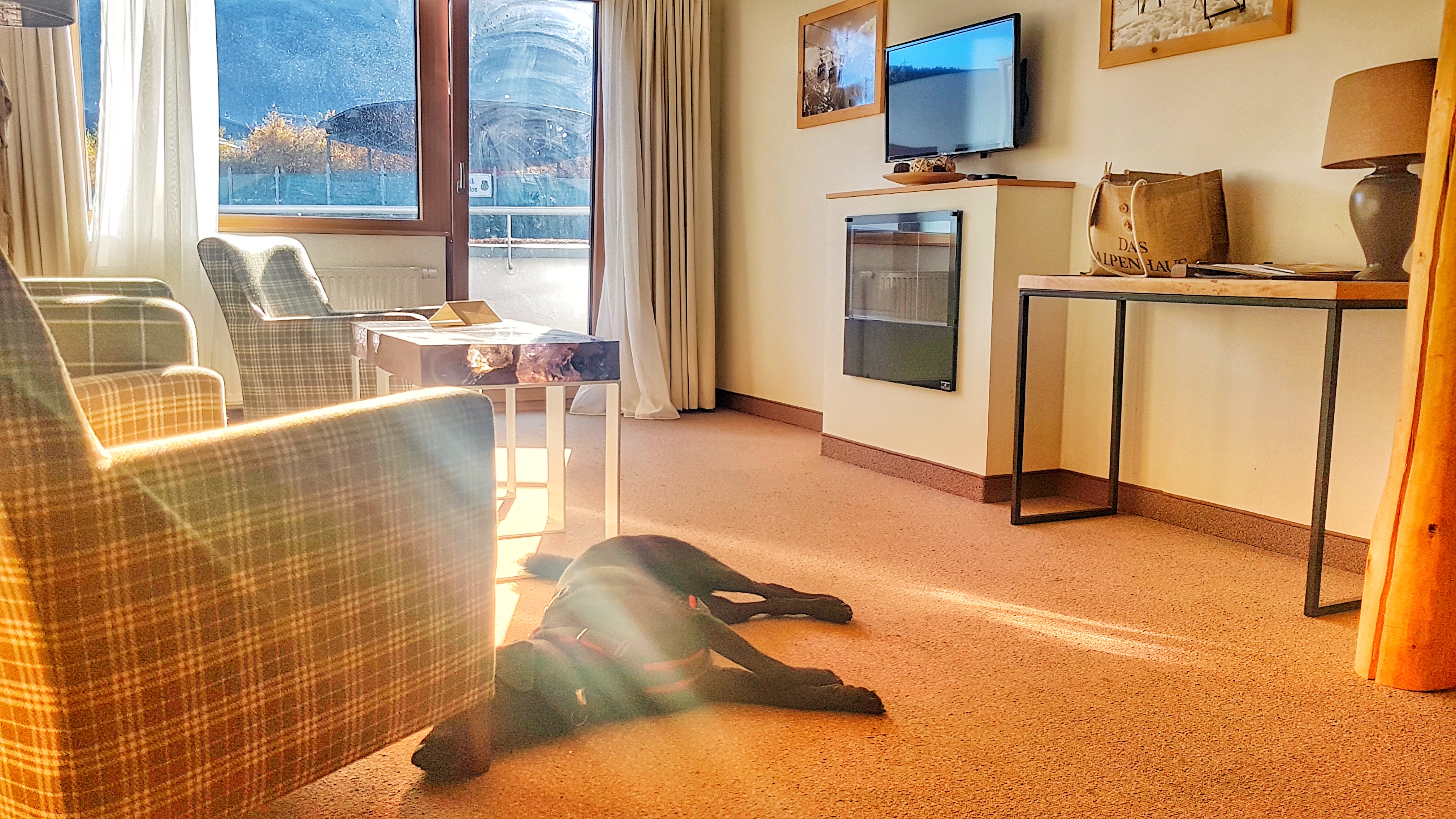 mit hund im alpehaus kaprun