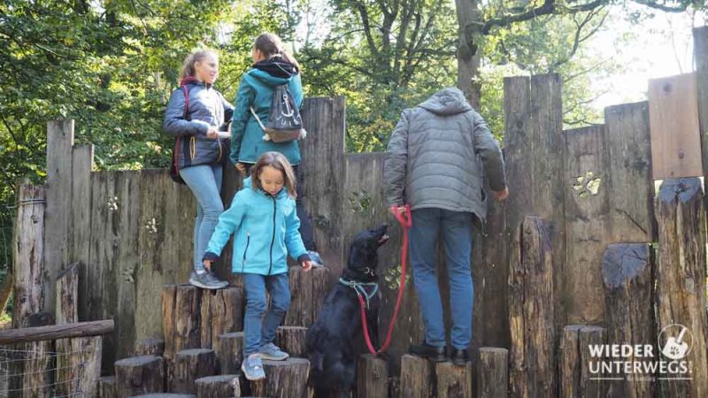mit familie im wildpark ernstbrunn und mit hund