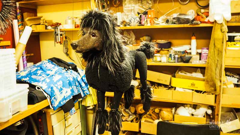 hund als marionette im marionettentheater salzburg