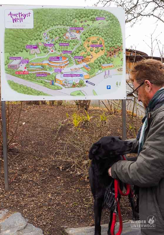 Maissau Hunde Beisskorb