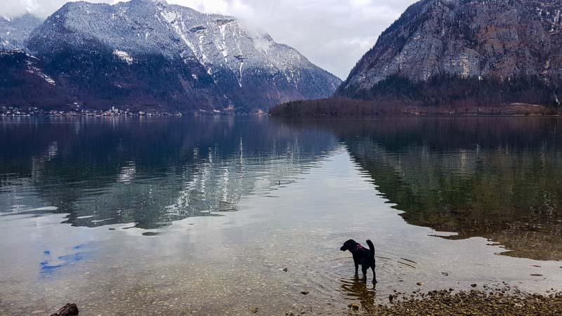 Gosau Krippenstein Hallstättersee Ausflug hallstätter see