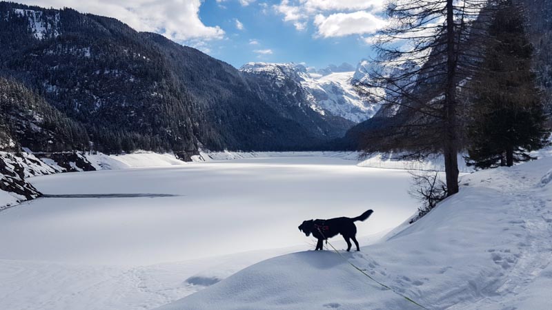 Gosau Krippenstein Hallstättersee Ausflug