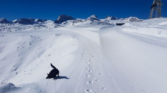 Gosau Krippenstein Hallstättersee Web (24 Von 47)