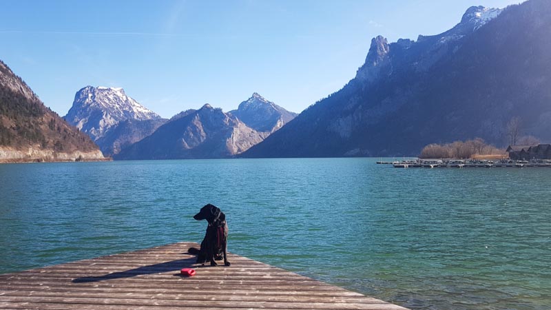 Gosau Krippenstein Hallstättersee Ausflug