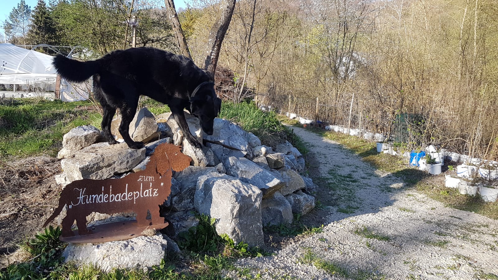 steinschalerhof badeplatz pielachtal