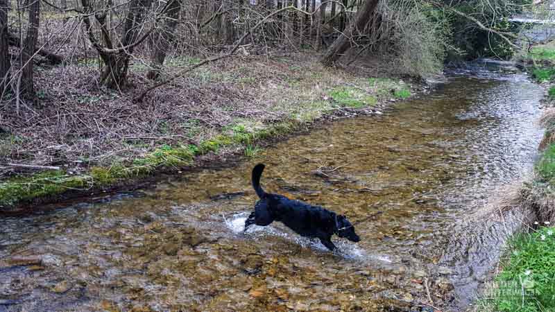 steinschalerhotel hundebaden fluss