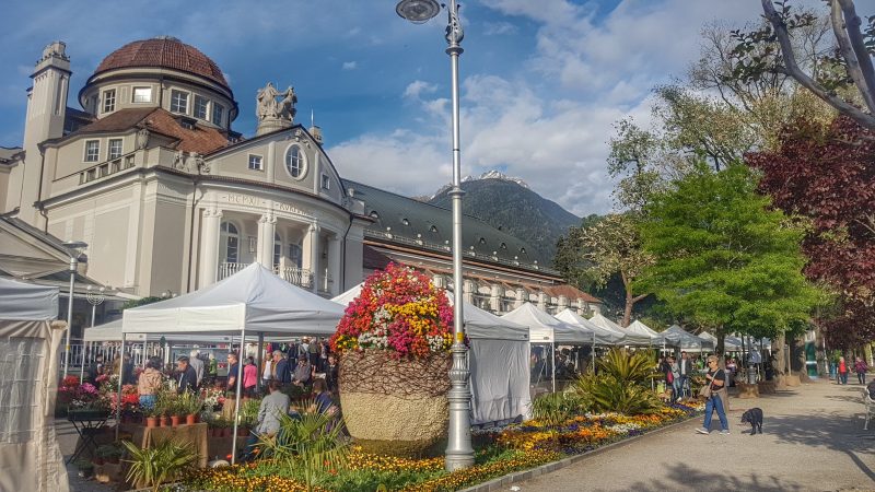 Kurhaus mit Hund