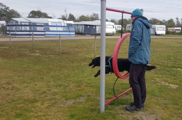 Agility mit Hund in Schweden