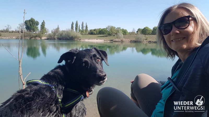 Hund am Teich