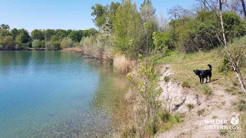 Hundezone Süßenbrunn