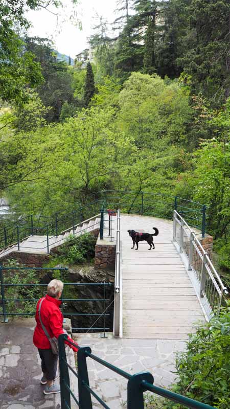 promenade mit hund in meran