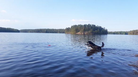 Campingplätze Schweden Web (15 Von 57)