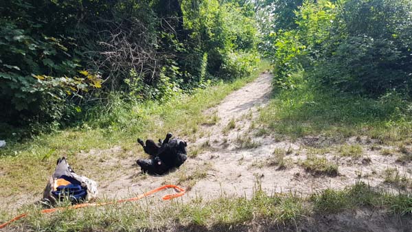 Süßenbrunner Badeteich Hundezone Wien22 Web (34 Von 59)