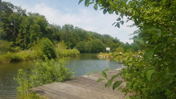 Flussbaden Niederösterreich Ybbs