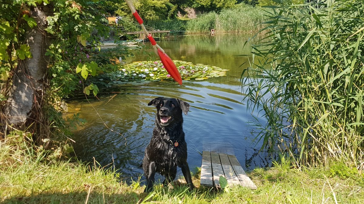 44+ Teich Mieten Nrw, Nutze angelteich nrw, um deinen nächsten