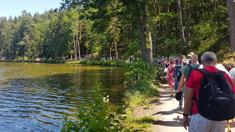 schrammelklang 2019 am herrensee