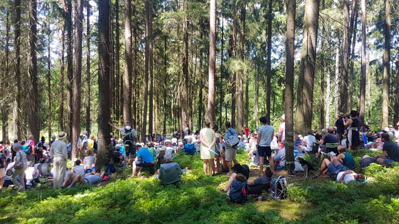 waldbühne beim schrammelklang in litschau