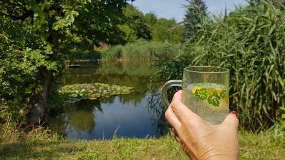 Einen Teich mieten Private "Teichzeit" im Weinviertel mit Hund