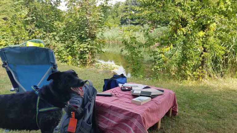 Einen Teich mieten Private "Teichzeit" im Weinviertel mit Hund