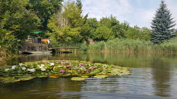 Einen Teich mieten Private "Teichzeit" im Weinviertel mit Hund